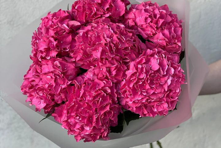 Pink Hydrangea Bouquet