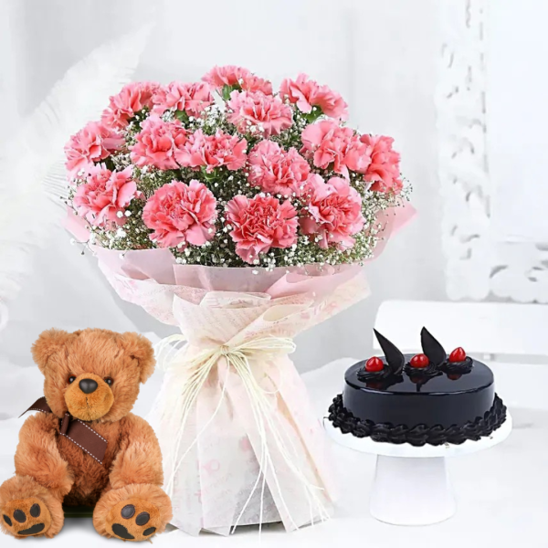 Magical Dust Carnations & Truffle Cake Combo
