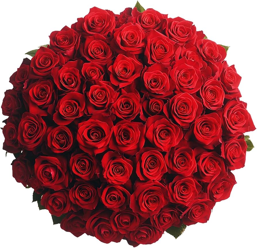Red Roses Bouquet in Dubai – A Symbol of Love, Luxury, and Timeless Beauty